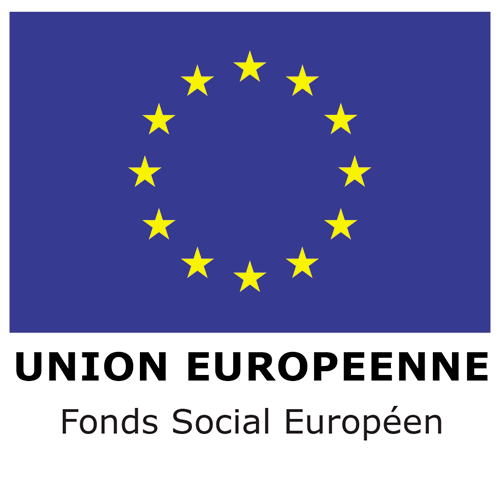 Europe FSE